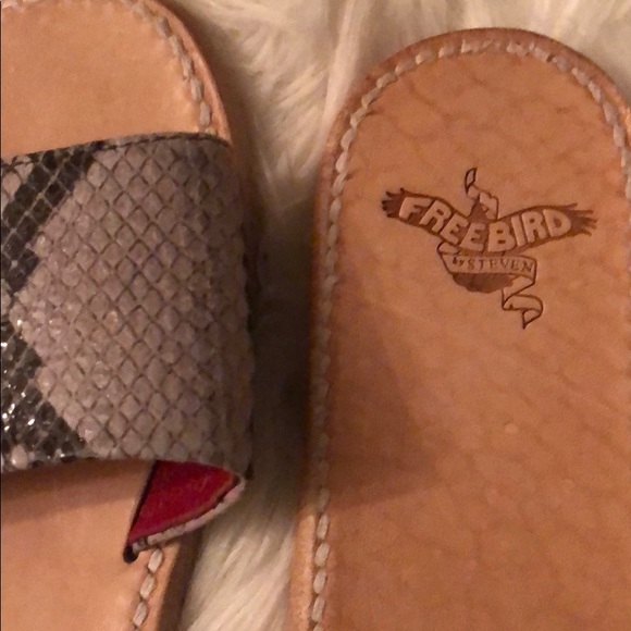 Freebird by Steven Leather Snake Slip On Sandals - Picture 2 of 6